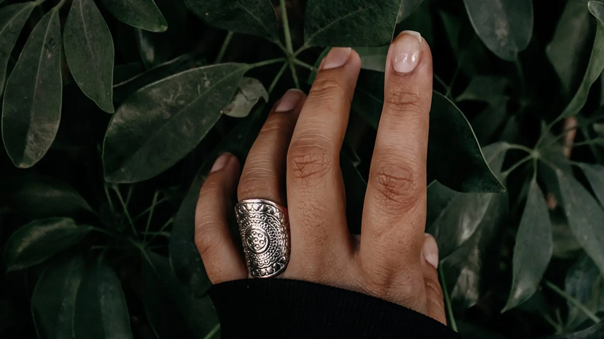 Hand und Nägel im Fokus