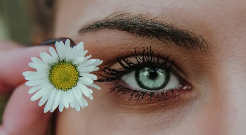 Nahaufnahme Auge und Augenbrauen