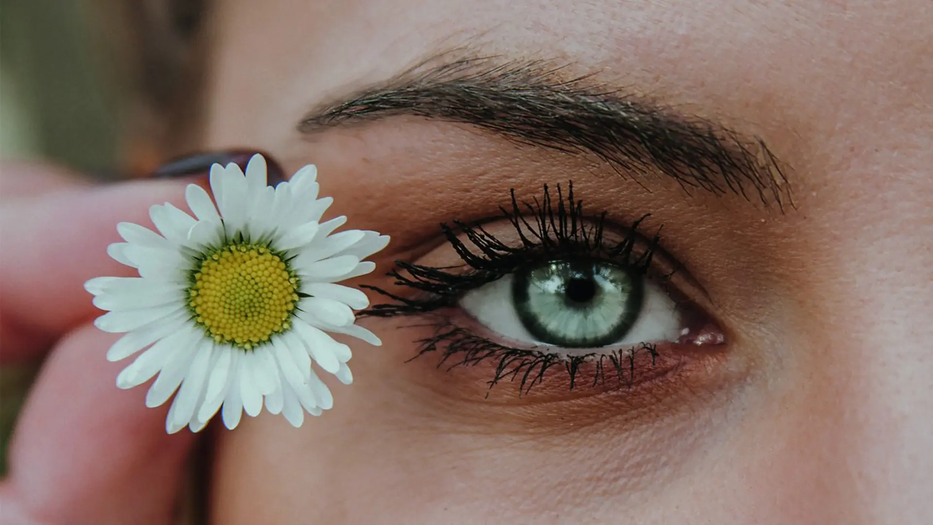 Nahaufnahme Auge und Augenbrauen