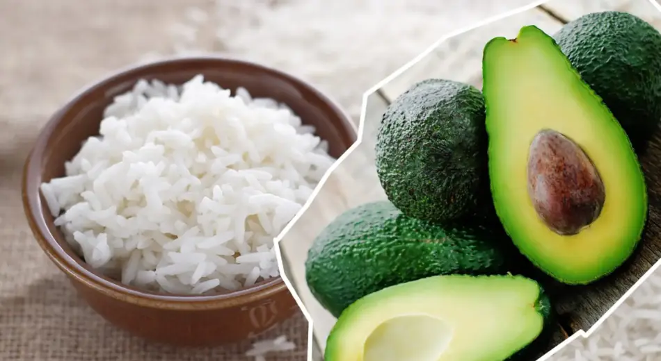 Avocado Reis