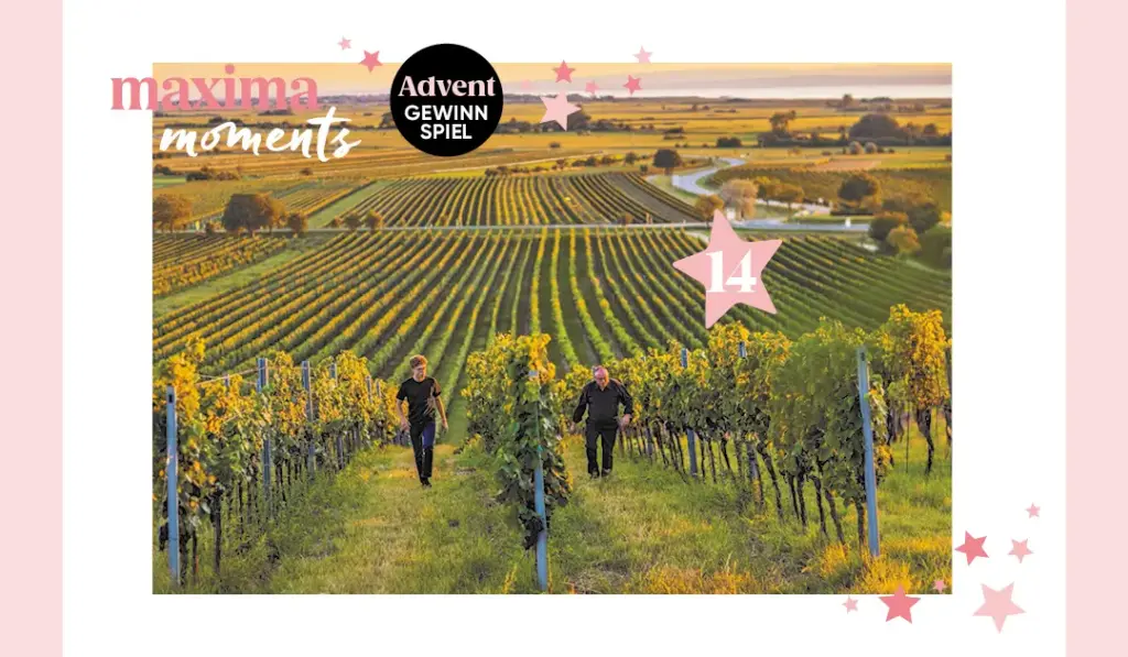 maxima Adventkalender Tür 14, Szigeti