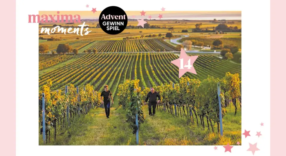 maxima Adventkalender Tür 14, Szigeti