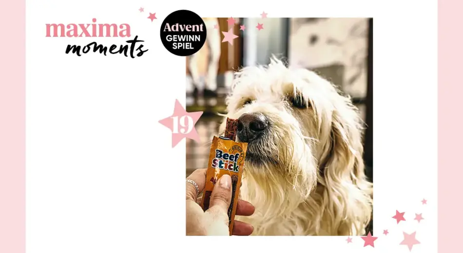 maxima Adventkalender Tür 19, Vitakraft