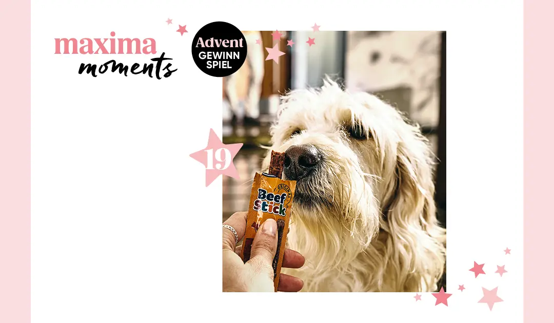 maxima Adventkalender Tür 19, Vitakraft