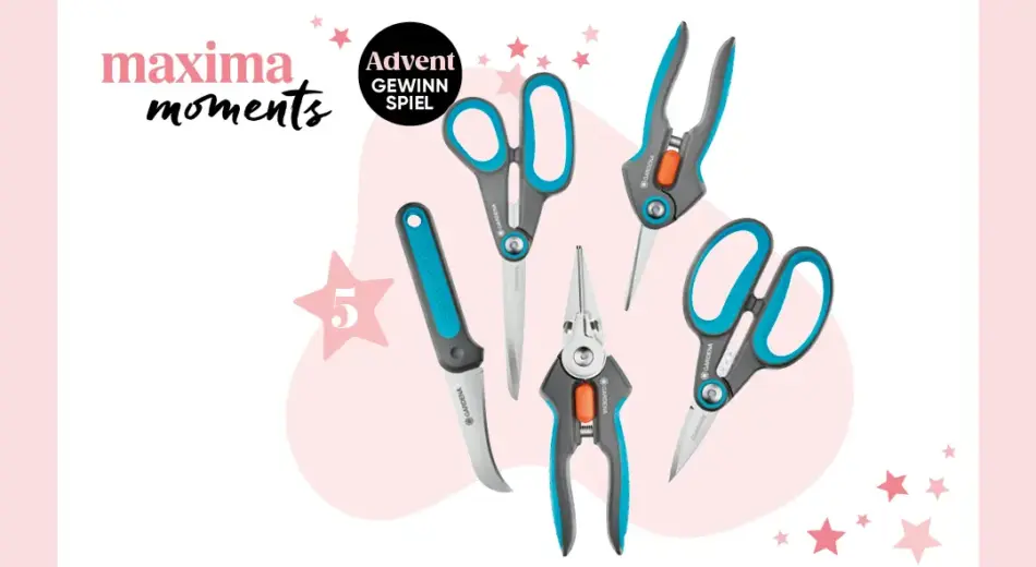 maxima Adventkalender Tür 5, Gardena