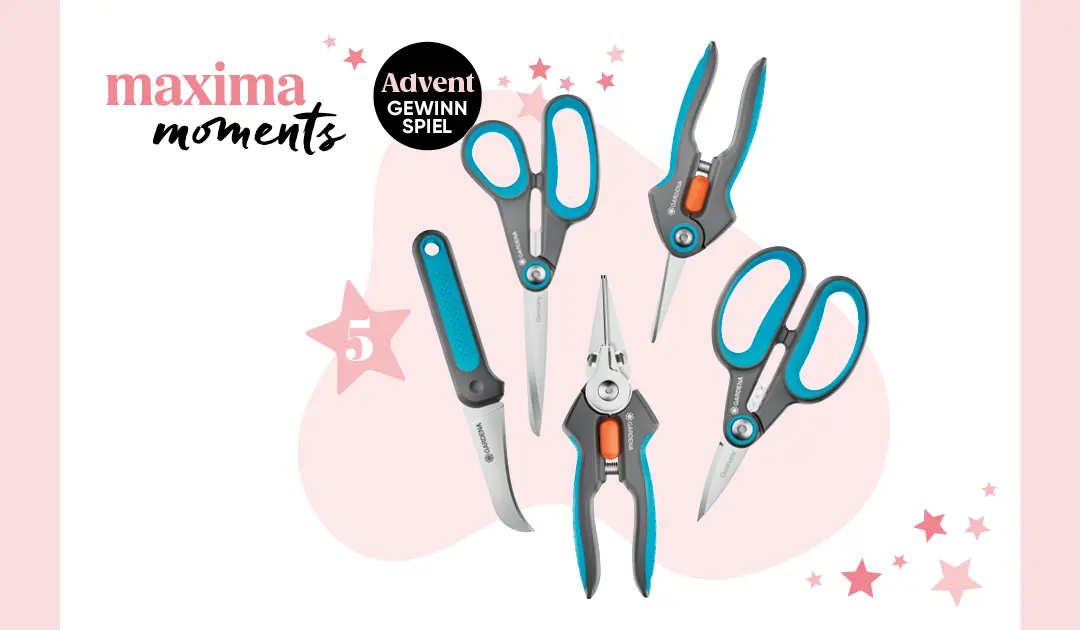 maxima Adventkalender Tür 5, Gardena