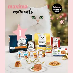 maxima Adventkalender Tür 1, Purina