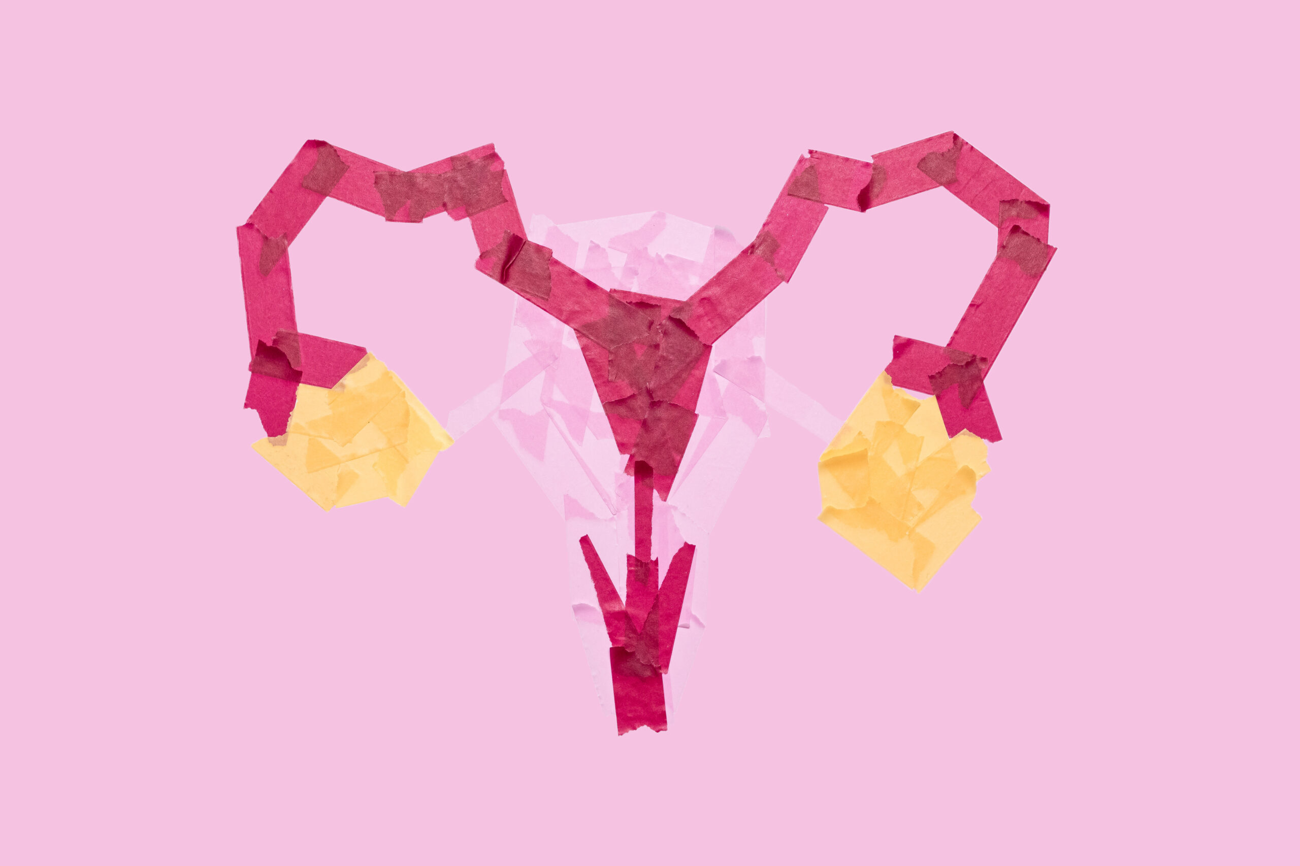 Weibliches Fortpflanzungssystem aus Klebeband. Eierstock, Eileiter, Vagina, Gebärmutter.