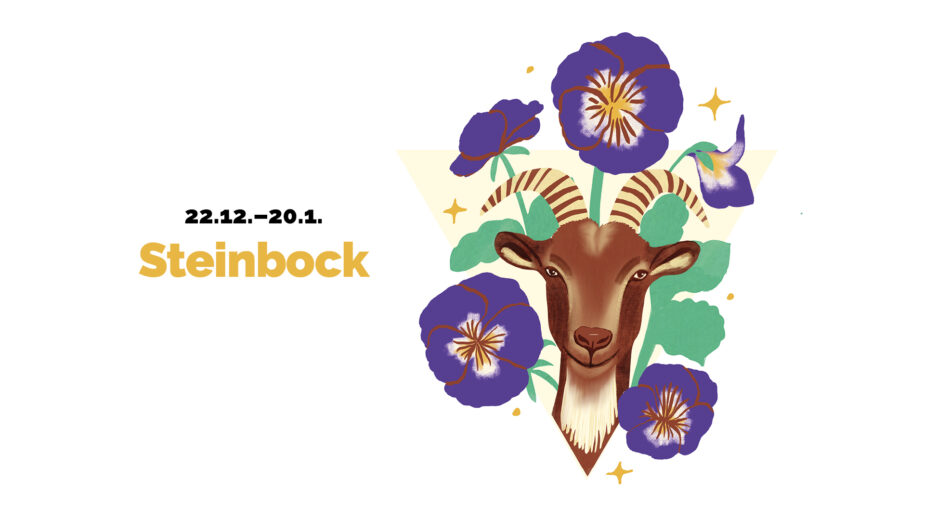 Headerbild Sommerhoroskop maxima, Steinbock