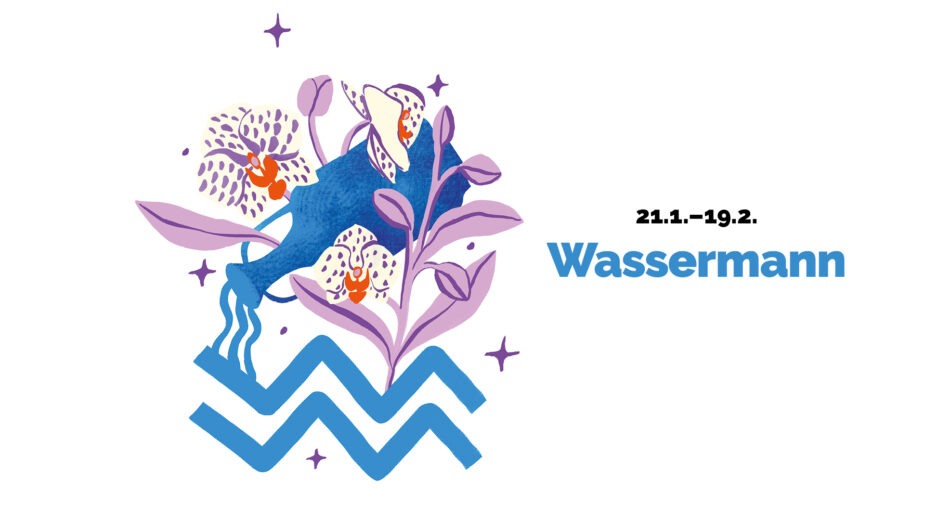 Headerbild Sommerhoroskop maxima, Wassermann
