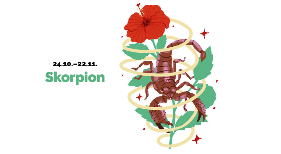 Headerbild Sommerhoroskop maxima, Skorpion